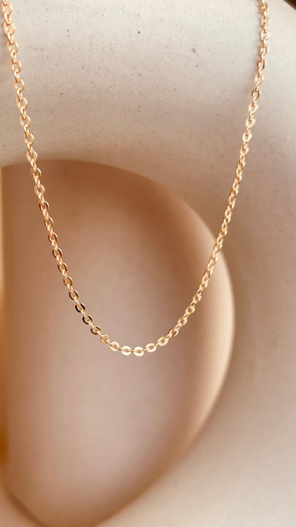 Gold Dainty Shine Sitara Chain Necklace